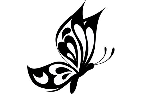 Butterfly Vector at GetDrawings | Free download