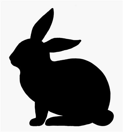 Easter Bunny Rabbit Illustration Vector Graphics Image - White Rabbit ...