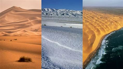 What is a Desert? Types, Formation & Habitat