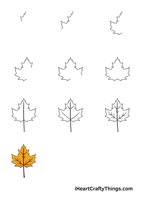 how to draw a leaf easy - Danuta Laws