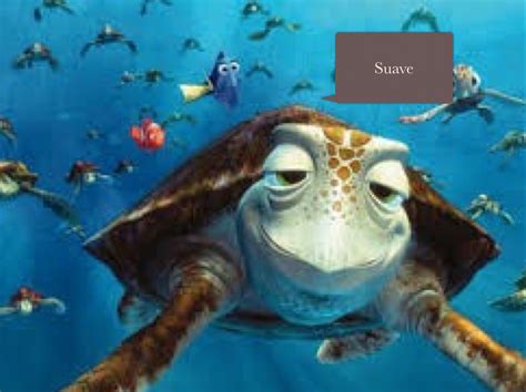 LA Tortuga conoce a Nemo y Dori | Funny mom memes, Funny mom jokes ...