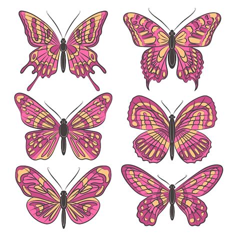 Free Vector | Hand drawn butterfly illustration