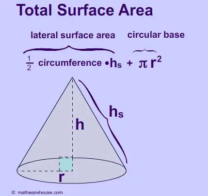 Pictures of surface area of cone. free images that you can download and ...