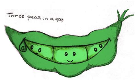 Pea Pod Drawing | Free download on ClipArtMag