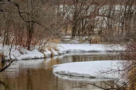 The Complete Winter Trout Fishing Guide - Life In Minnesota