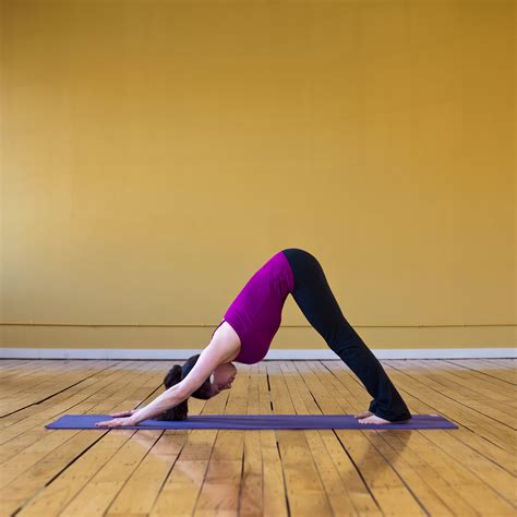 Downward Facing Dog | Light Your Fire: A Beginner Yoga Sequence That ...