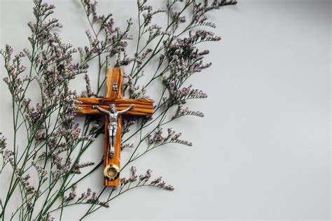 Lenten Lesson: The Lord’s Paradoxical Plan| National Catholic Register