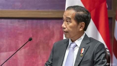 Indonesia President Joko Widodo in ‘tough spot’ to unite G20 leaders ...