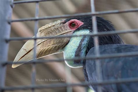 IMG_0039e | Zoo, Bangkok thailand, Photo