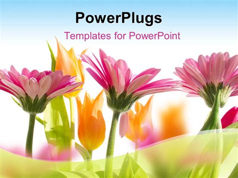 Free Powerpoint Templates Spring