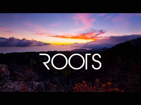 Imagine Dragons - Roots (Lyrics) | Imagine dragons, Funny animal quotes ...