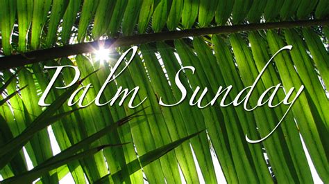 What Is Palm Sunday? - Mo Isom