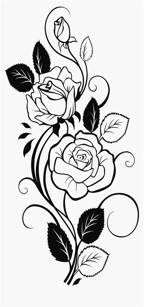 Black And White Rose Drawing - Tovirage