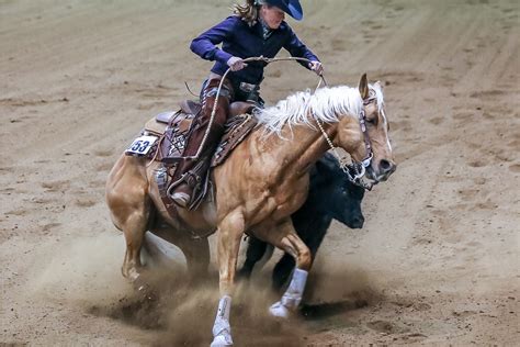 HORSE SHOWS | National Western Stock Show