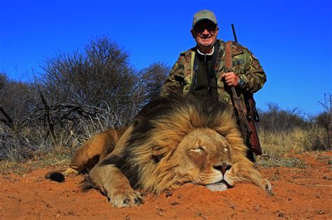 African lion hunting safari packages South Africa | Mkulu African ...