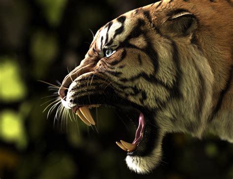 ArtStation - Roaring Tiger