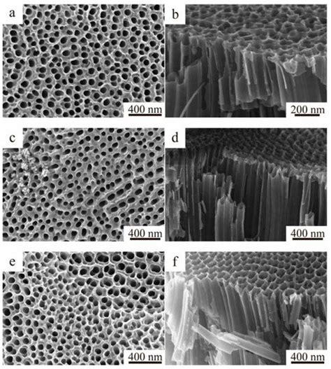 Molecules | Special Issue : Nanocomposites as a Promising Type of ...