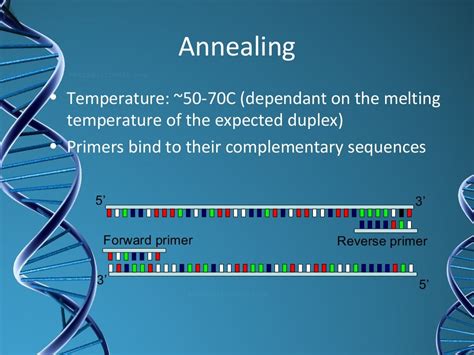 Types of pcr