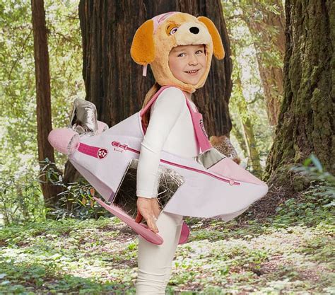 PAW Patrol™ Skye Halloween Costume | Pottery Barn Kids