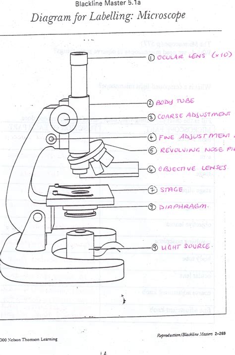 Blank Diagram Of Microscope