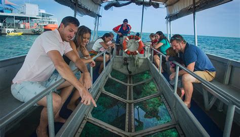 Glass Bottom Boats Tours Of The Reef | Cairns & Great Barrier Reef