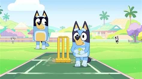 Bluey : ABC iview