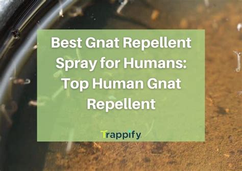 Best Gnat Repellent Spray for Humans: Top Human Gnat Repellent