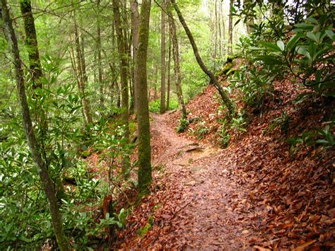 Twin Falls Trail | Forest Trails| Free Nature Pictures by ForestWander ...