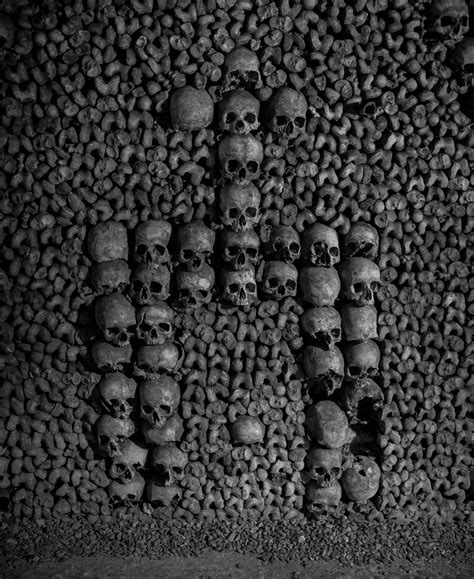 #483. Skulls and bones (Paris Catacombs) - DearSusan