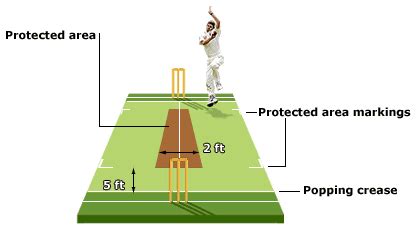 BBC Sport - Cricket - What is cricket's 'protected area'?