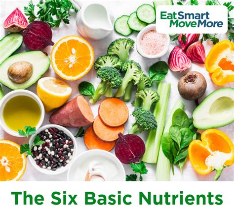 The Six Basic Nutrients - Mindlor