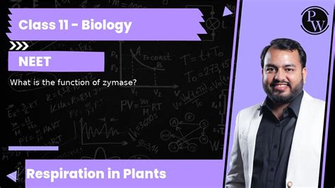 What is the function of zymase? - YouTube