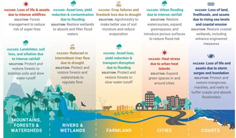 Nature-based solutions are helping tackle droughts in Colombia | World ...