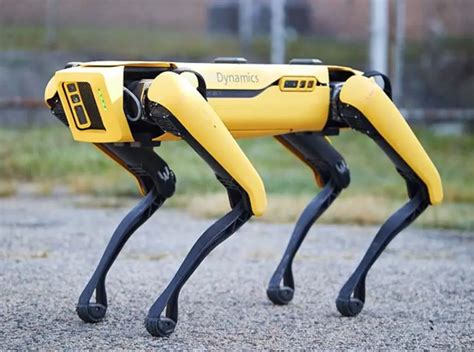 Boston Dynamics' Spot Mini Robot Dog Is Both Fascinating And Terrifying ...