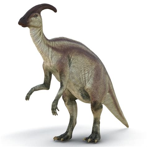 3d parasaurolophus pose 4