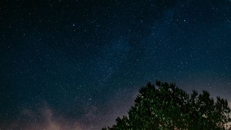 1366x768 starry sky, tree, night 1366x768 Resolution Wallpaper, HD ...