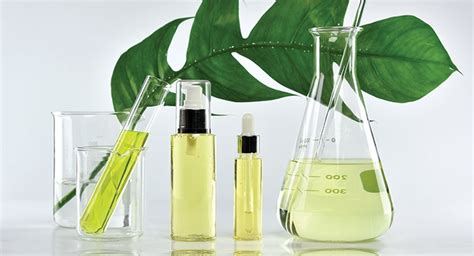 Organic Personal Care Market Worth $25.11 Billion By 2025 | Beauty ...