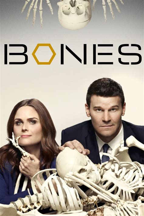 Bones Season 1 - All subtitles for this TV Series Season - english | o