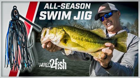 3 Swim Jig Techniques for Year-Round Bass – Bass Manager | The Best ...