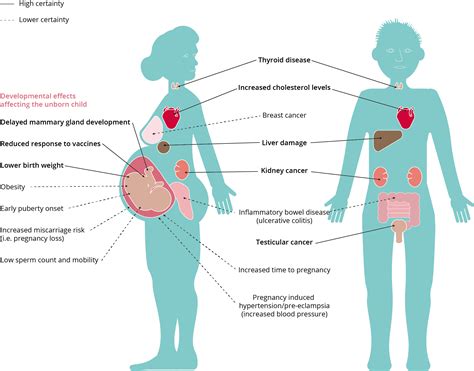 Sources : US National Toxicology Program, (2016); C8 Health Project ...