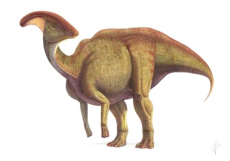 Parasaurolophus - Alchetron, The Free Social Encyclopedia