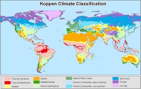 Climate Change Flashcards | Quizlet