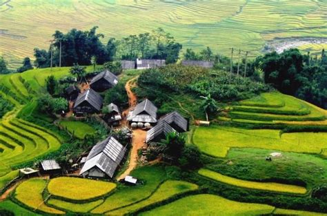 Tổng hợp hình ảnh quê hương đẹp nhất | Vietnam travel, Vietnam tours ...