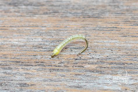 Pale Olive Larva - Tailwater Junkie