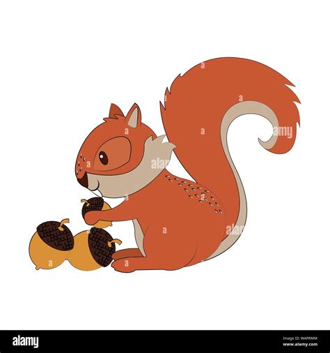 Squirrel eating nut cartoon animal Stock Vector Image & Art - Alamy