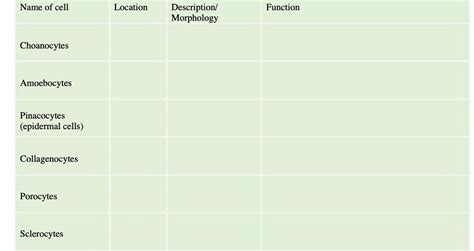 [Solved] Name of cell Location Description/ Function Morphology ...