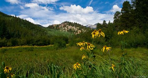 The Best Places to Camp in Boulder | Your Boulder