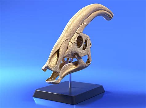 Parasaurolophus skull - for 3d print by Strick67 on DeviantArt