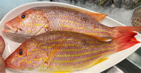 How To Cook Delicious Whole Snapper (Like A Chef) | Lane snapper recipe ...