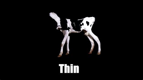 20 Variations on Cow "Moo" Sound Effects - YouTube